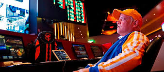 Вход на официальный сайт Vulpin Casino